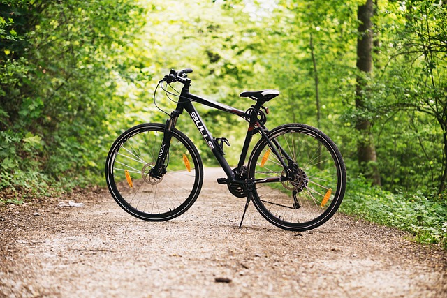MTB Lage Vuursche
